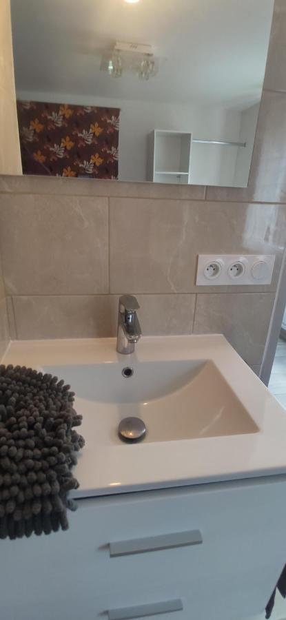 サン・テルブランPetit Logement Sur Jardinアパートメント エクステリア 写真